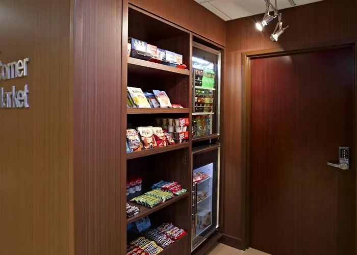 Fairfield Inn And Suites By Marriott Tampa Brandon
