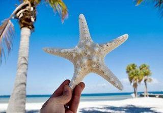 Fairfield And By Marriott Tampa Brandon Hotel 3*
